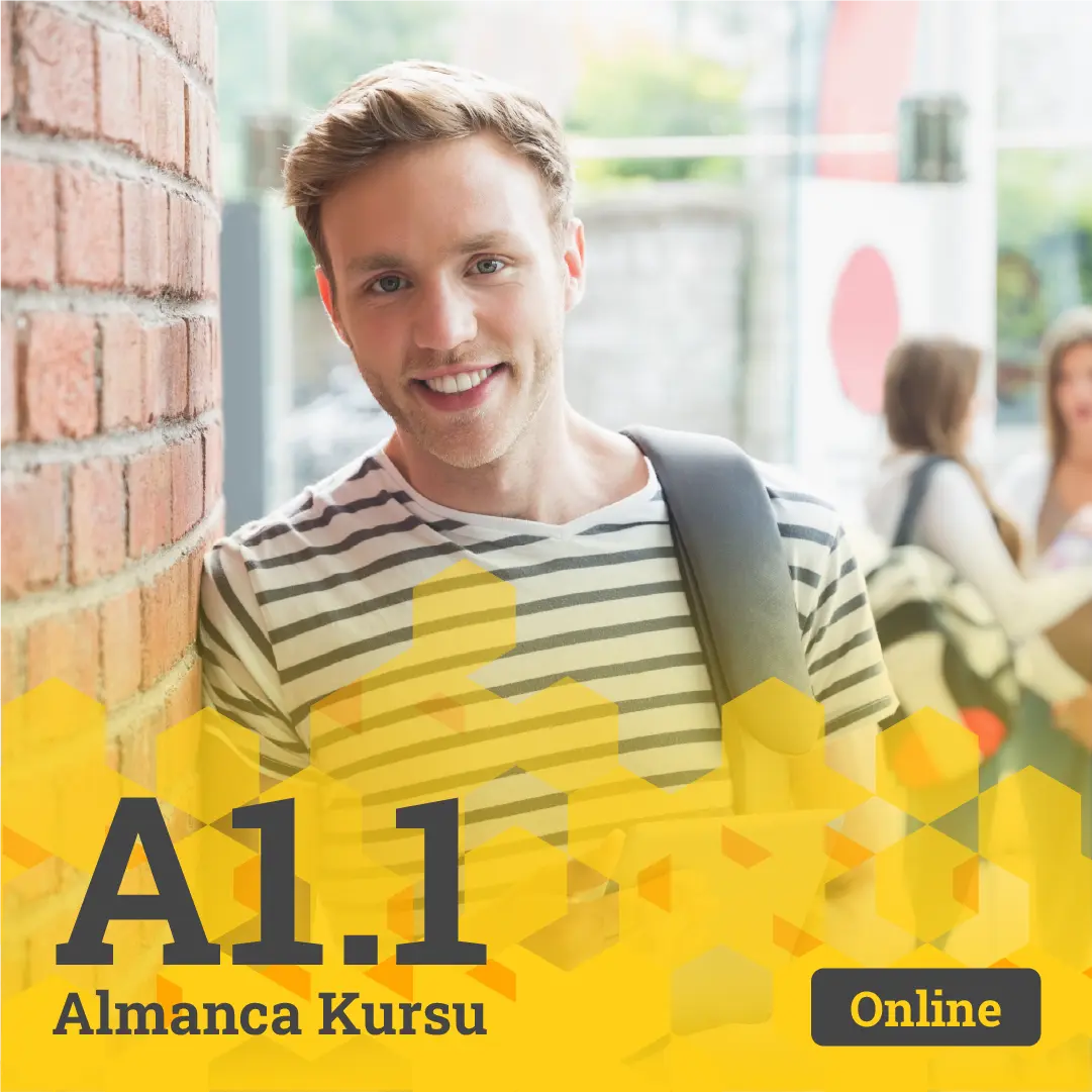 a1.1